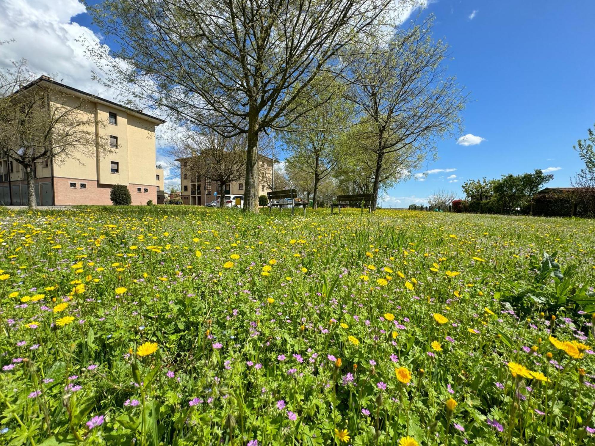 شقة Nel Cuore Della Natura - Parcheggio Gratuito - Wi-Fi Mezzolara المظهر الخارجي الصورة